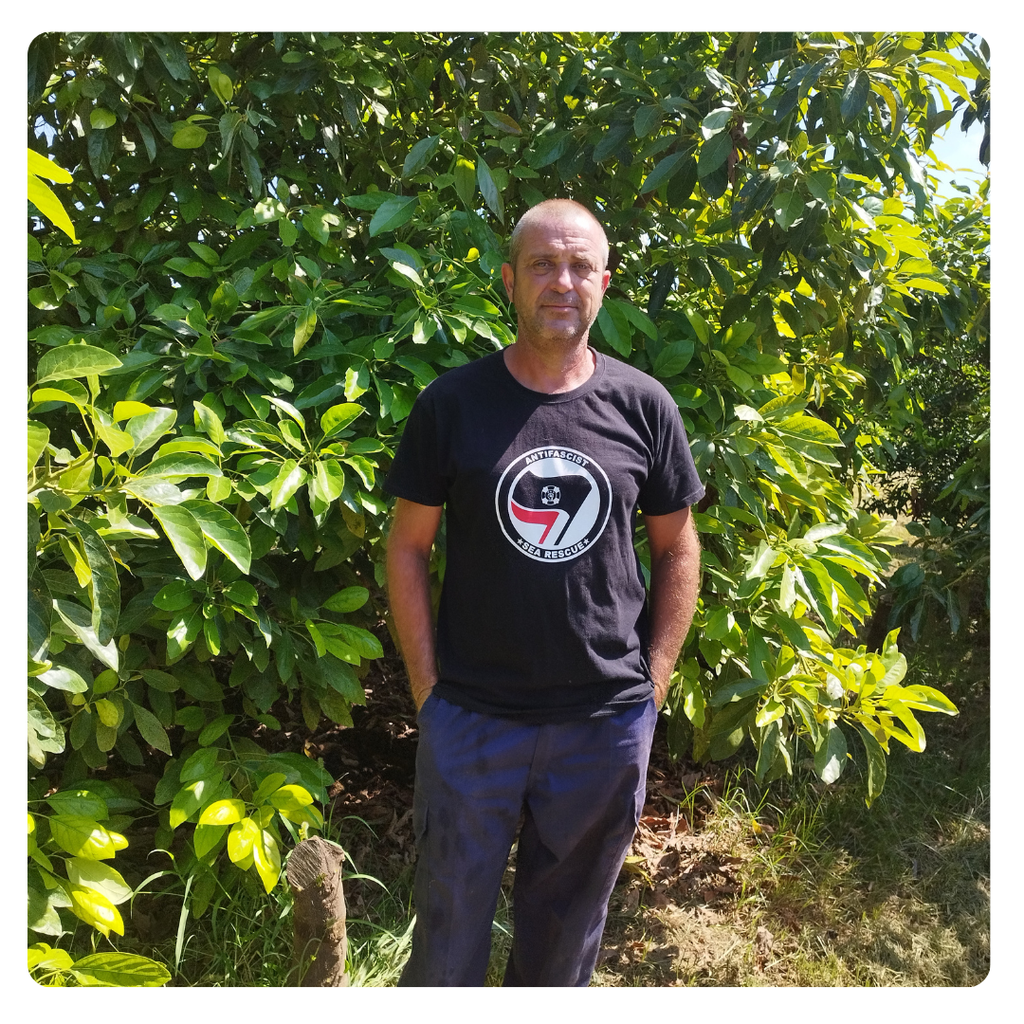 Caja de mandarinas de 1ª campaña BIO