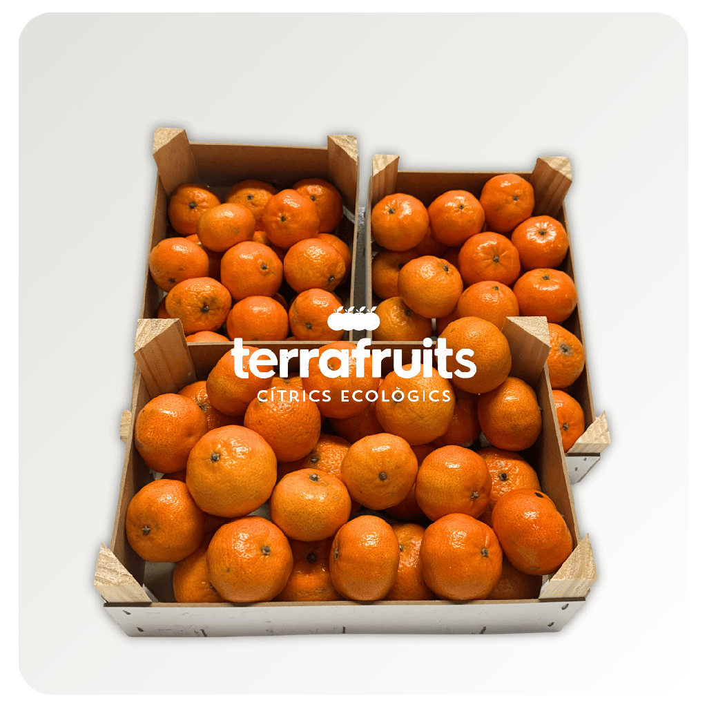Caja de mandarinas de 1ª campaña BIO