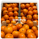 Caja de mandarinas de 1ª campaña BIO