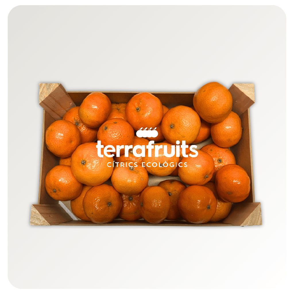 Caja de mandarinas de 1ª campaña BIO