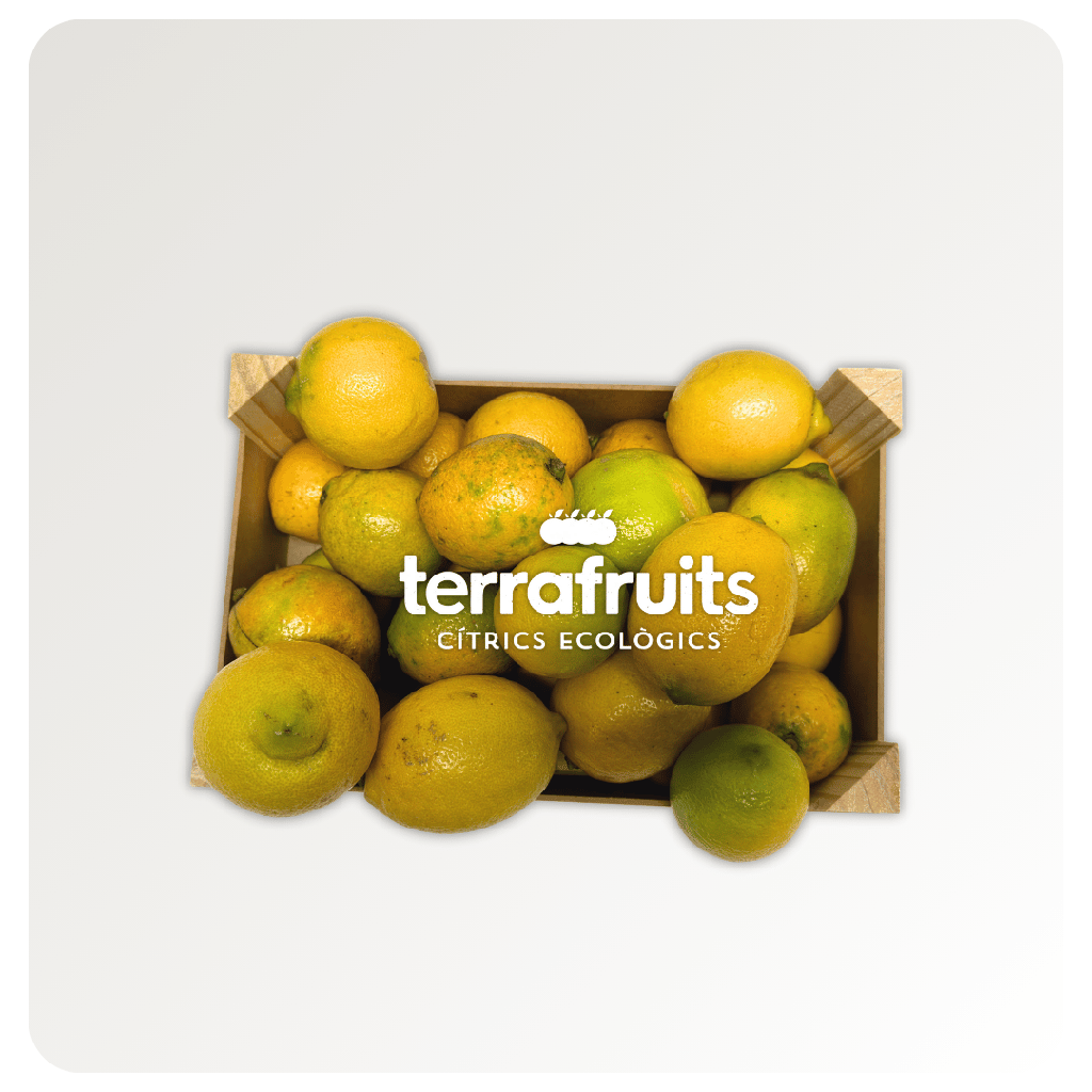 Caja de Limones BIO de Natanael Bort