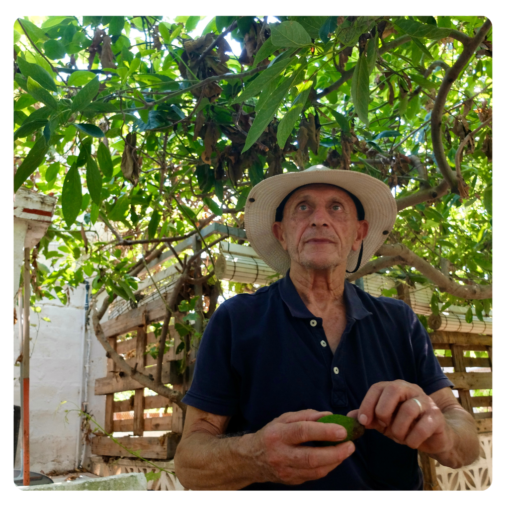 Aguacates Lamb Hass BIO de Joan Pasqual Enrique