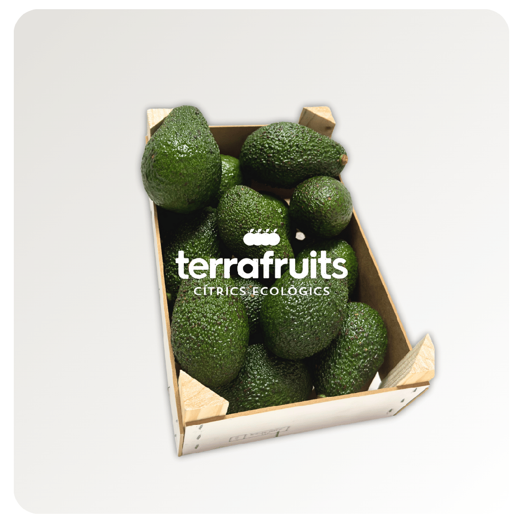 Aguacates Lamb Hass BIO de Joan Pasqual Enrique