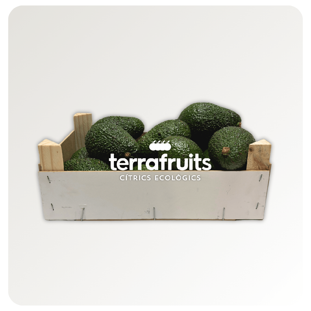 Aguacates Lamb Hass BIO de Joan Pasqual Enrique