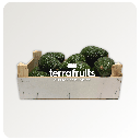 Aguacates Lamb Hass BIO de Joan Pasqual Enrique