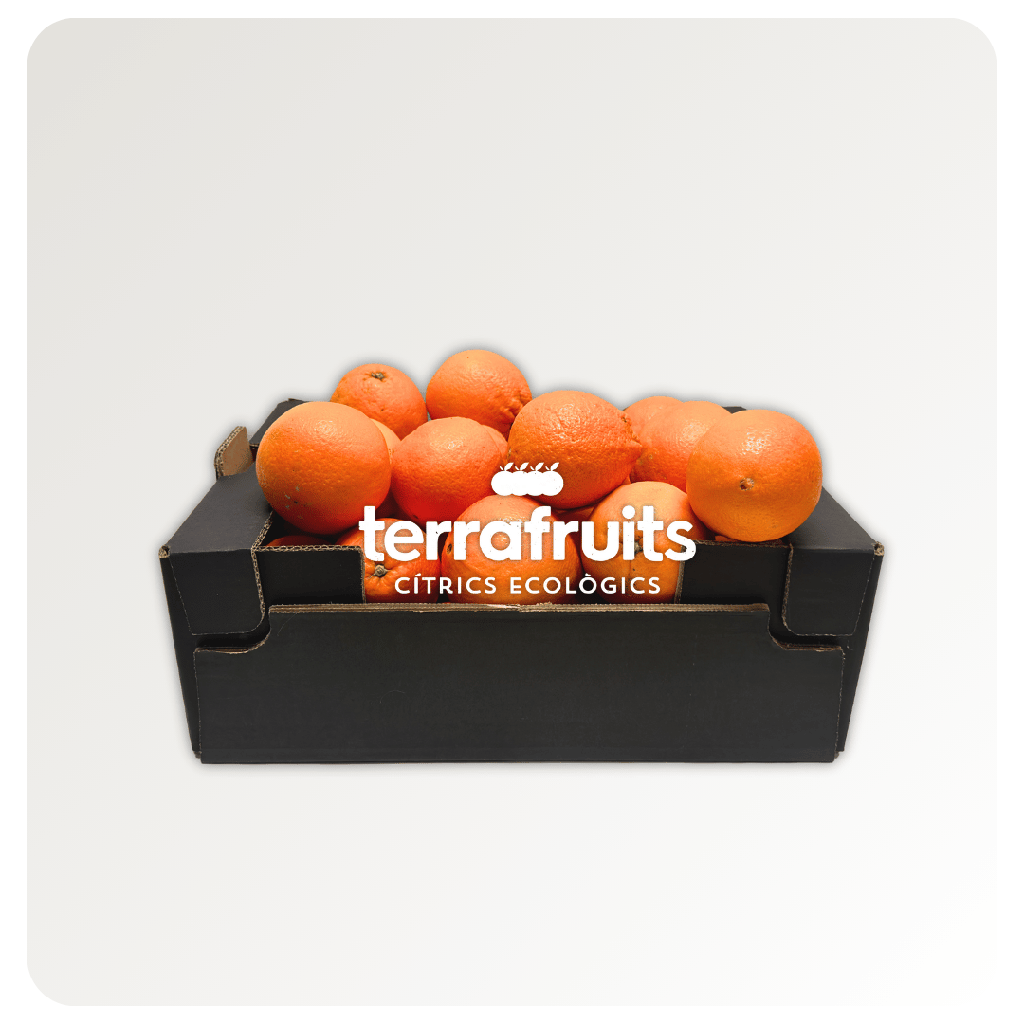 Caja de naranjas BIO para zumo: navelinas, Lane-late y Chislett