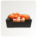 Caja de naranjas BIO para zumo: navelinas, Lane-late y Chislett