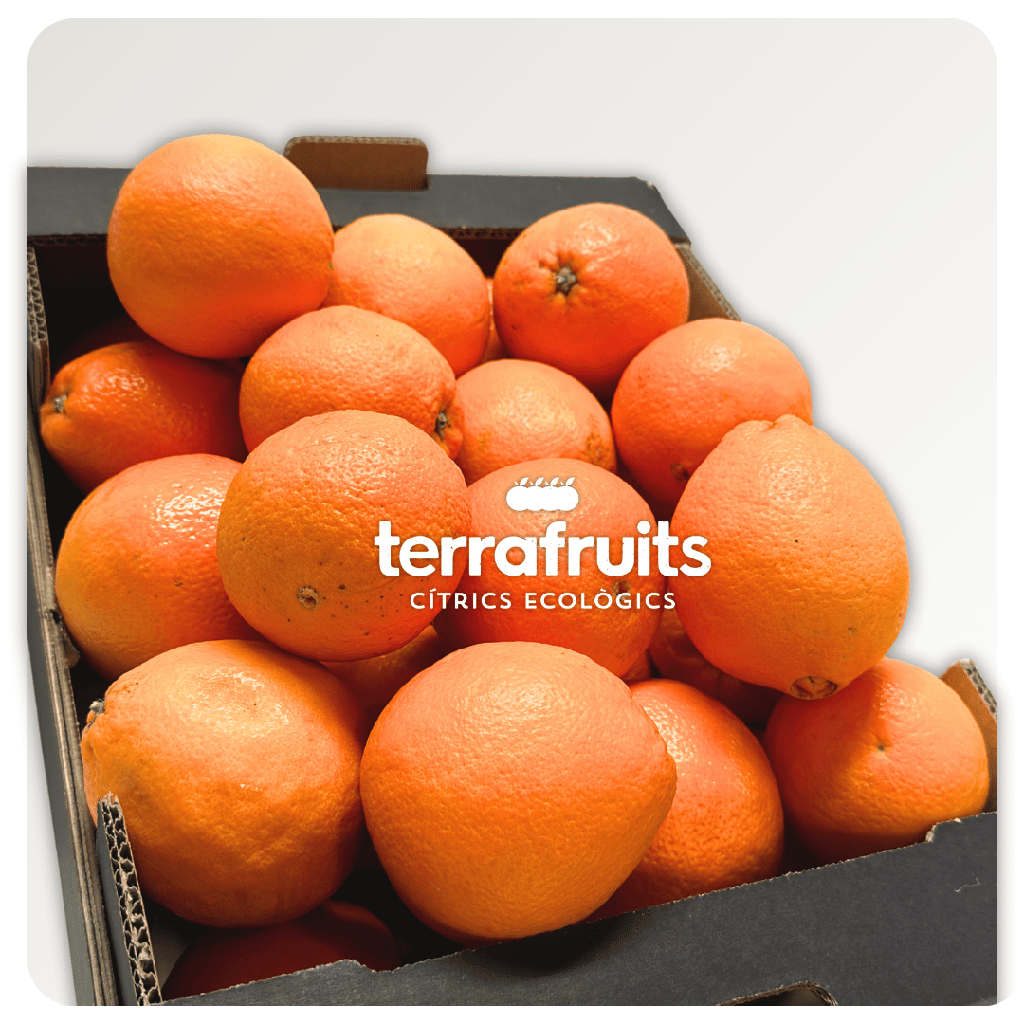 Caja de naranjas BIO para zumo: navelinas, Lane-late y Chislett