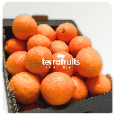 Caja de naranjas BIO para zumo: navelinas, Lane-late y Chislett