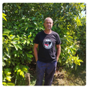 Caja de naranjas BIO para zumo: navelinas, Lane-late y Chislett