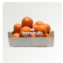 Caja mixta de naranjas de mesa BIO: navelinas, Lane-late y Chislett