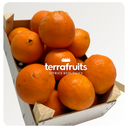 Caja mixta de naranjas de mesa BIO: navelinas, Lane-late y Chislett