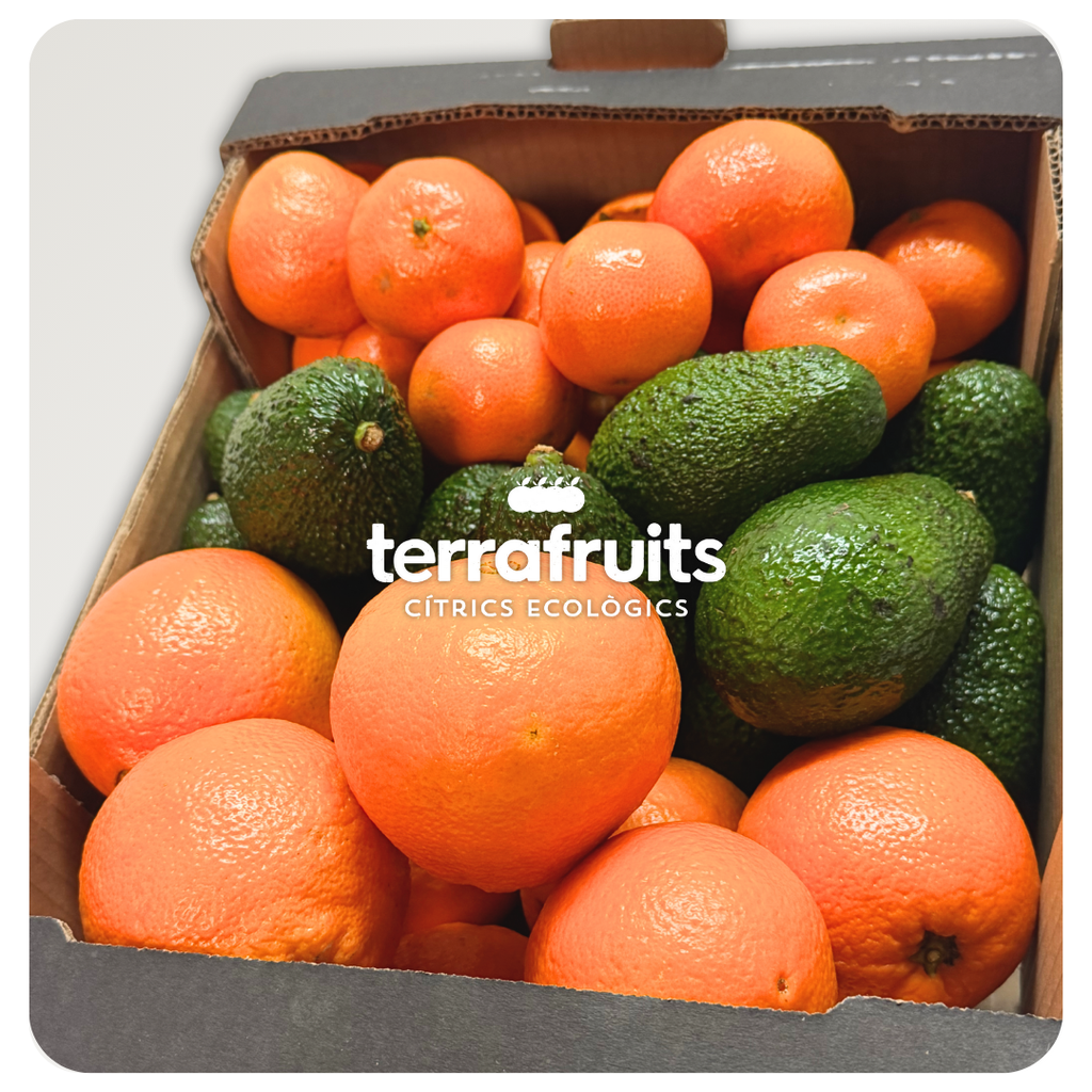 Caja Mixta BIO Mandarinas, Naranjas de mesa y Aguacates