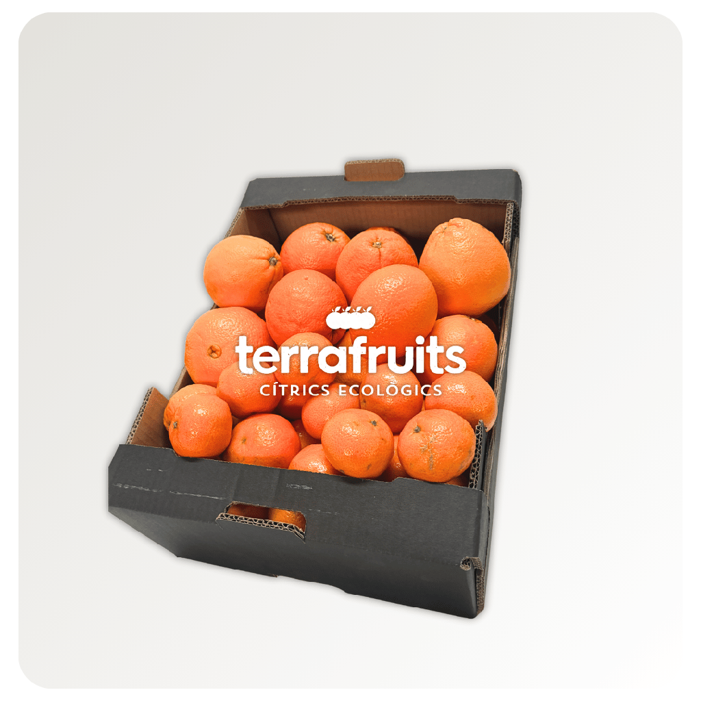 Caja Mixta BIO de mandarinas y Naranjas para mesa