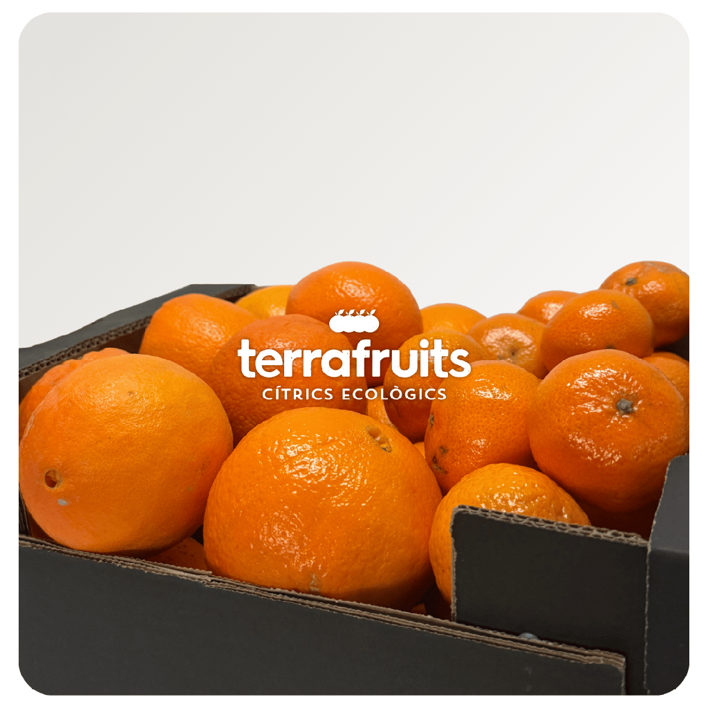 Caja Mixta BIO de mandarinas y Naranjas para mesa