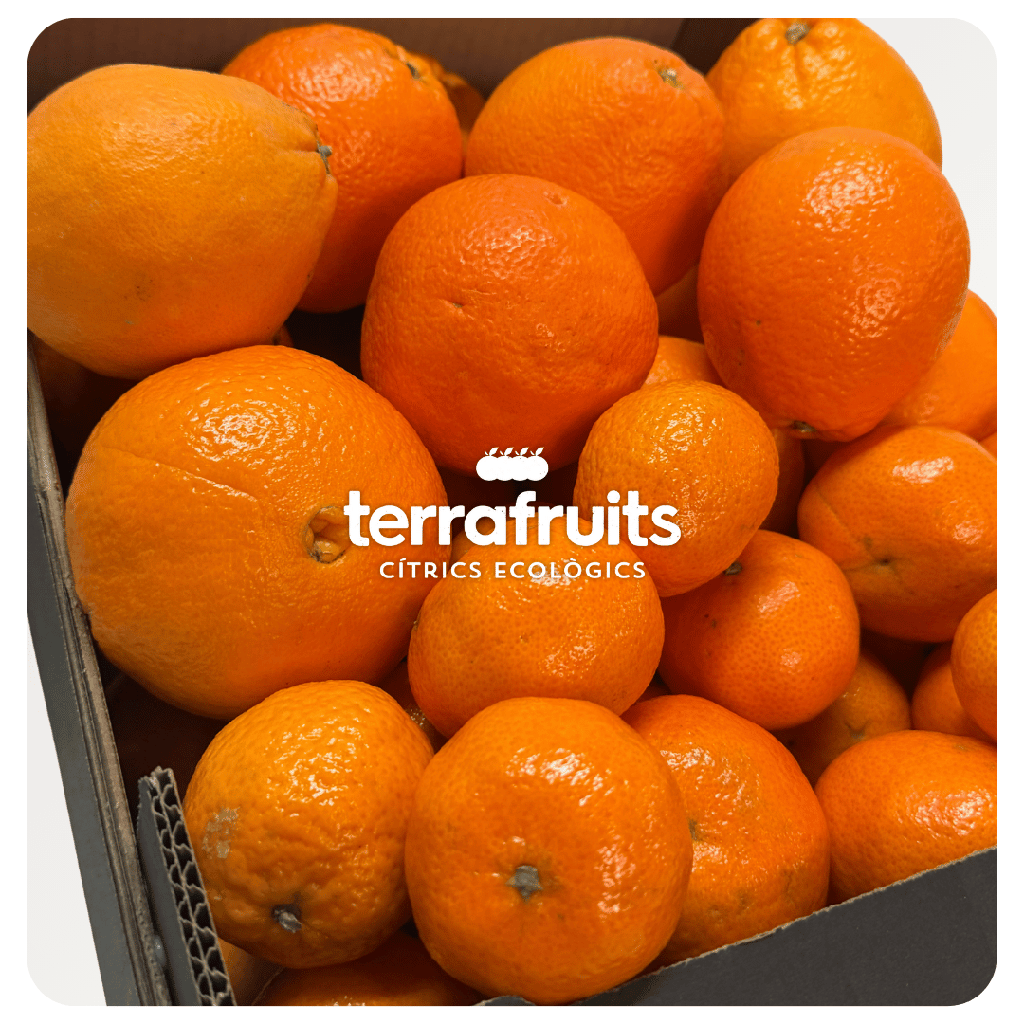 Caja Mixta BIO de mandarinas y Naranjas para mesa
