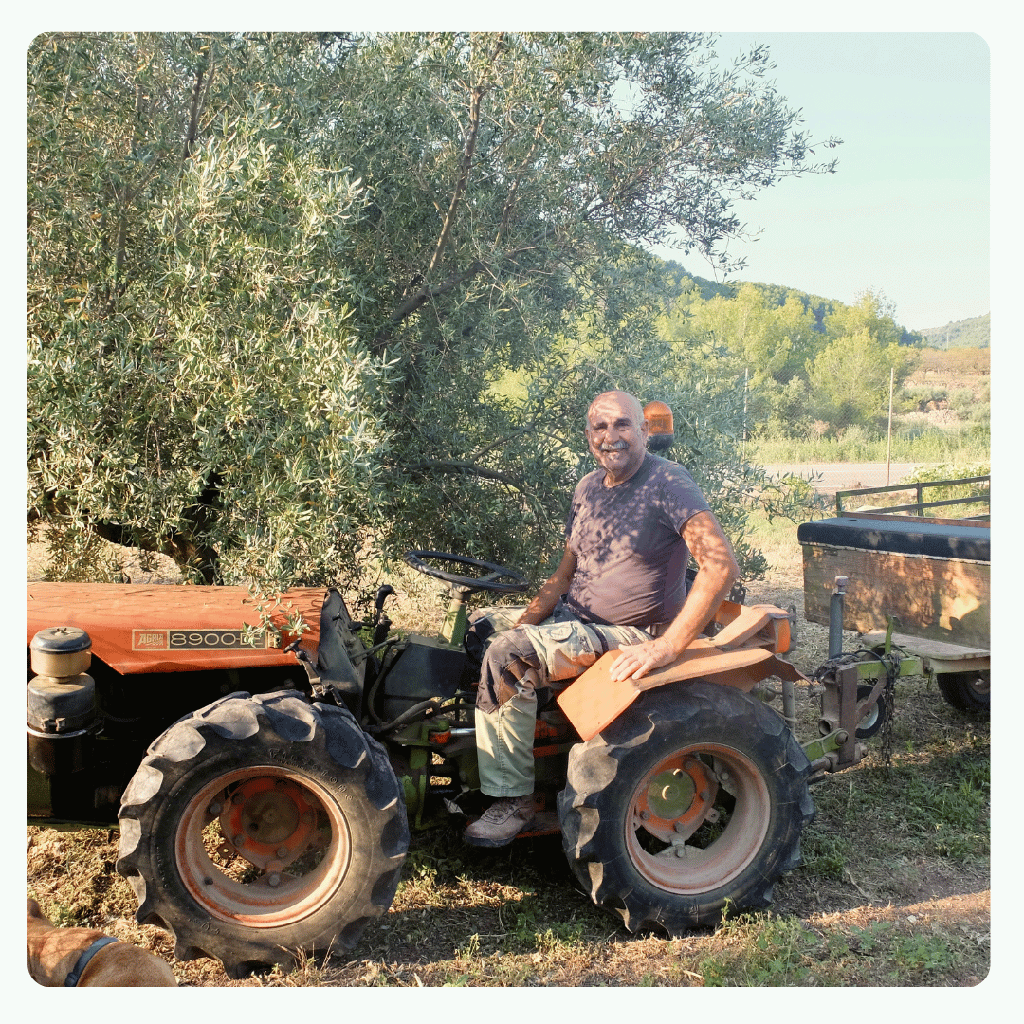 Caja Mixta BIO de mandarinas y Naranjas para mesa