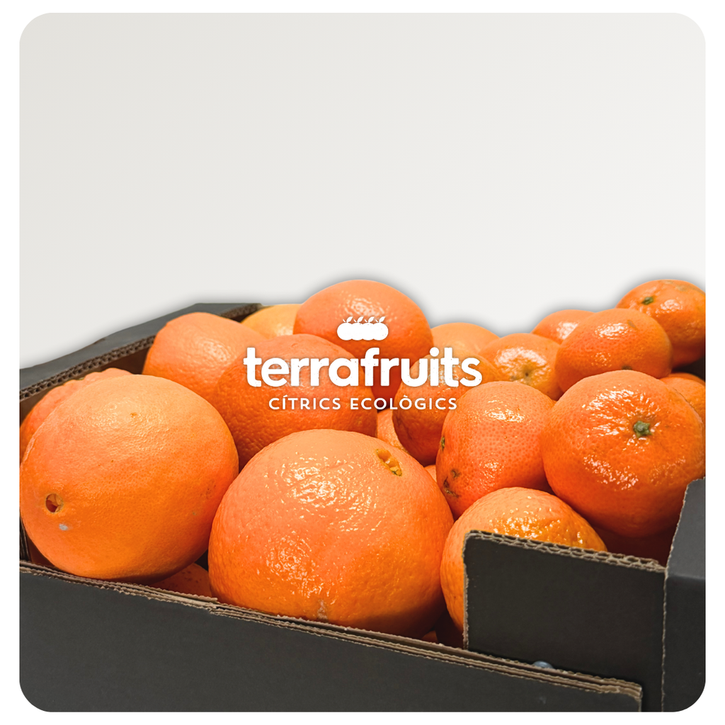 Caja Mixta BIO de Mandarinas y Naranjas para zumo