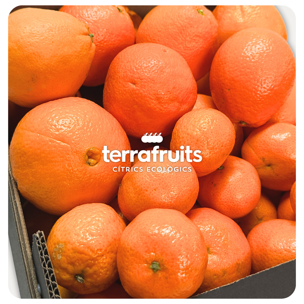 Caja Mixta BIO de Mandarinas y Naranjas para zumo