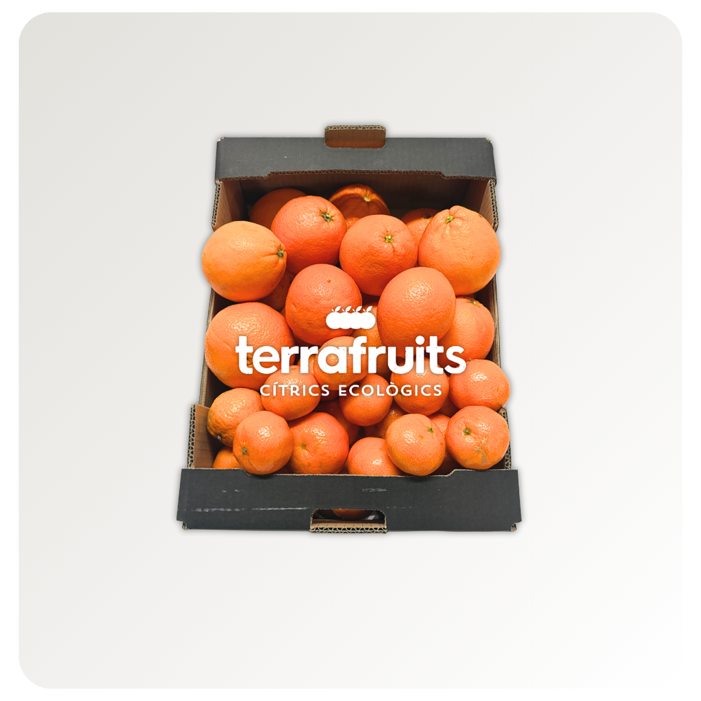 Caja Mixta BIO de Mandarinas y Naranjas de mesa y zumo