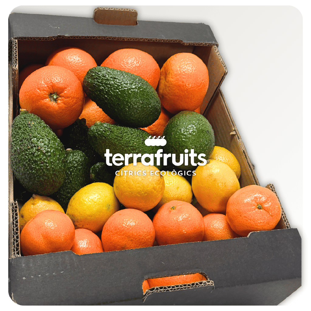 Caja Mixta BIO de Mandarinas, Naranjas de mesa, Aguacates y Limones
