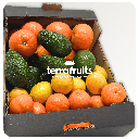 Caja Mixta BIO de Mandarinas, Naranjas de mesa, Aguacates y Limones