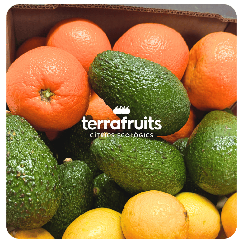 Caja Mixta BIO de Mandarinas, Naranjas de mesa, Aguacates y Limones