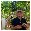 Caja Mixta BIO de Mandarinas, Naranjas de mesa, Aguacates y Limones