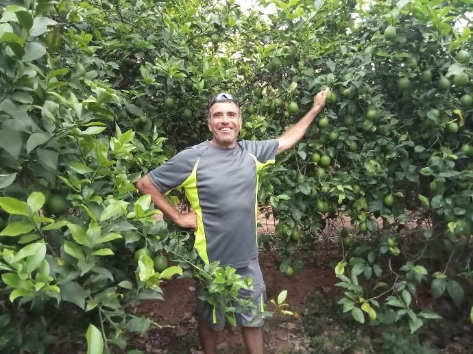 Caja Mixta BIO de Mandarinas, Naranjas de mesa, Aguacates y Limones