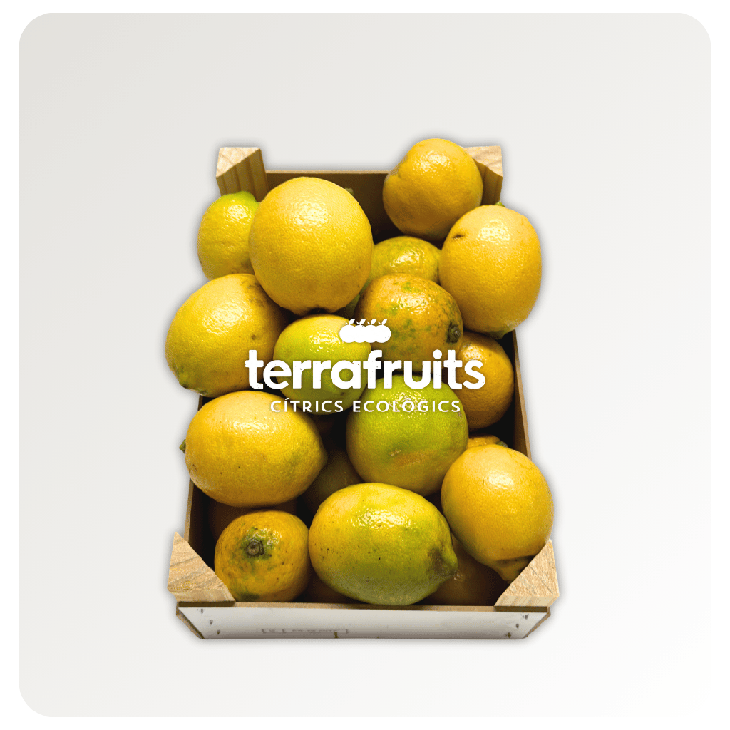 Caja de Limones BIO de Natanael Bort