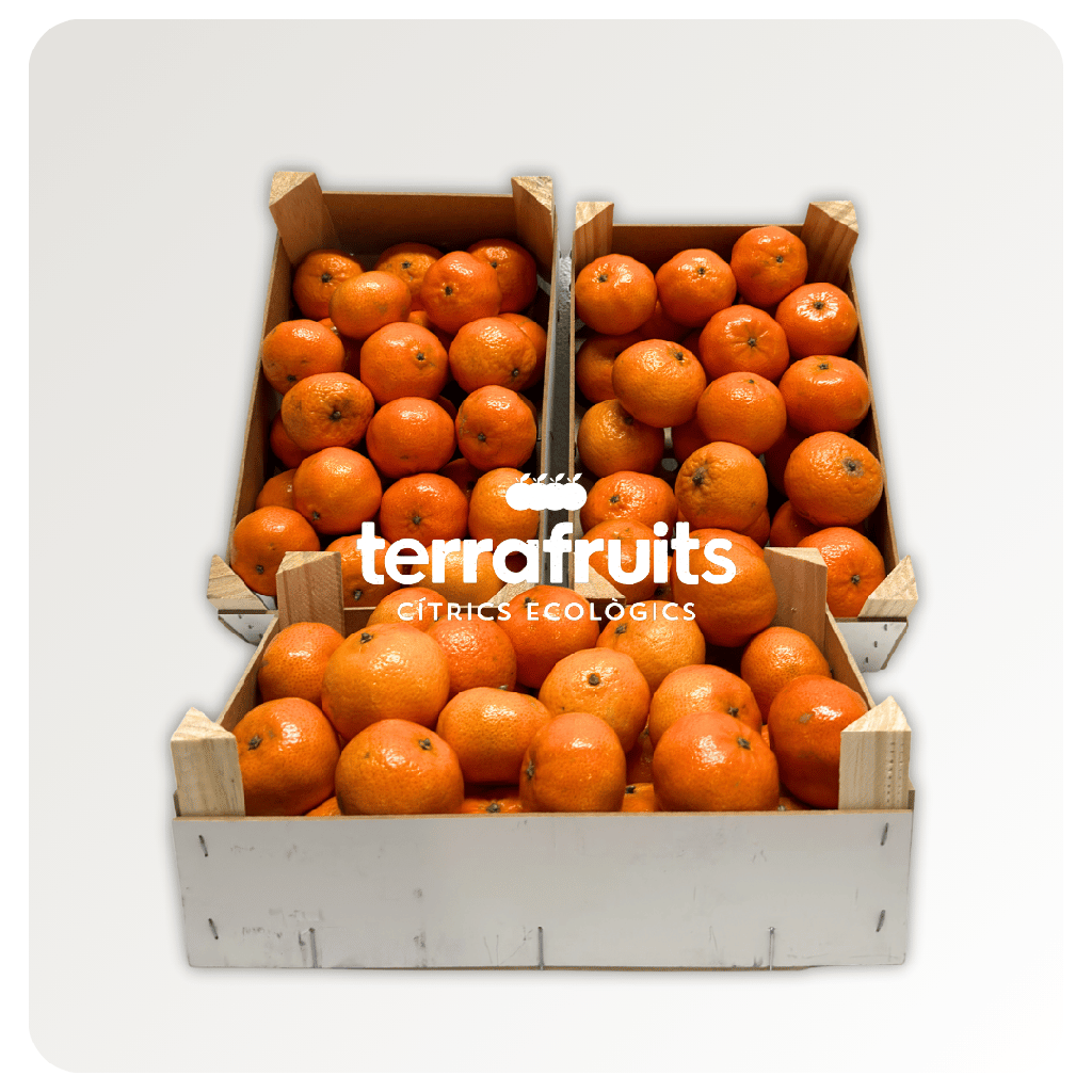 Caja de mandarinas de 1ª campaña BIO