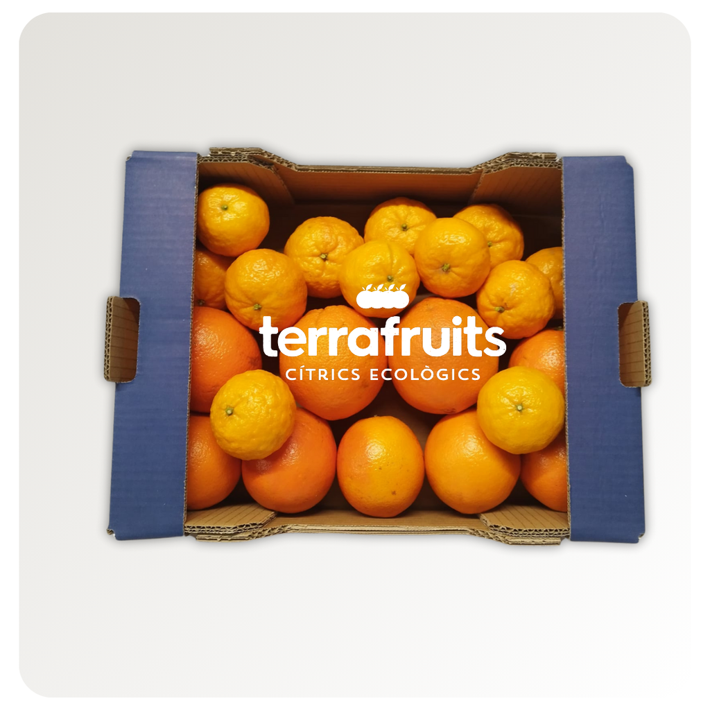 Caja mixta de Gold Nugget BIO y Naranjas para mesa BIO