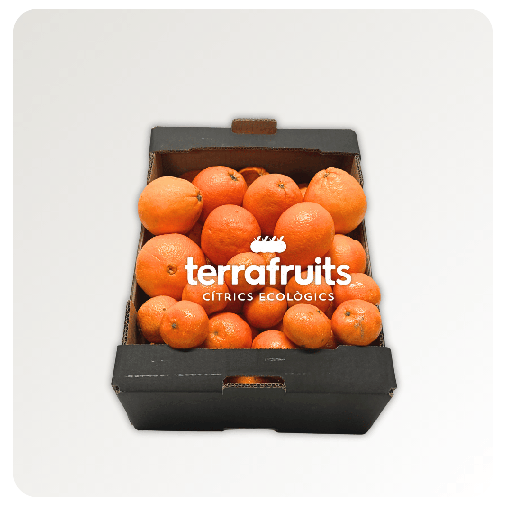 Caja Mixta BIO de mandarinas 1ª campaña y Naranjas para mesa