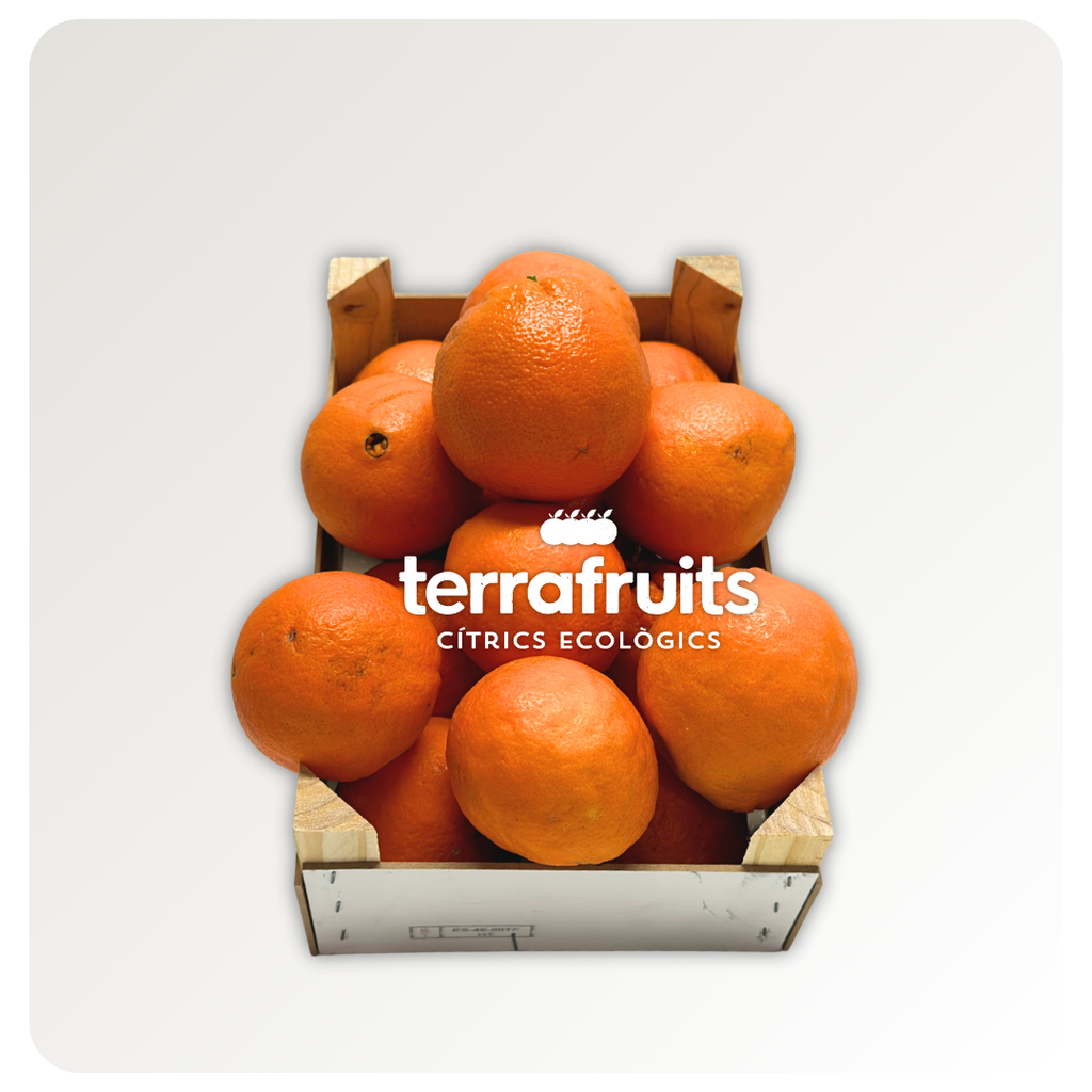 Caja de naranjas de mesa BIO: navelinas, Lane-late y Chislett