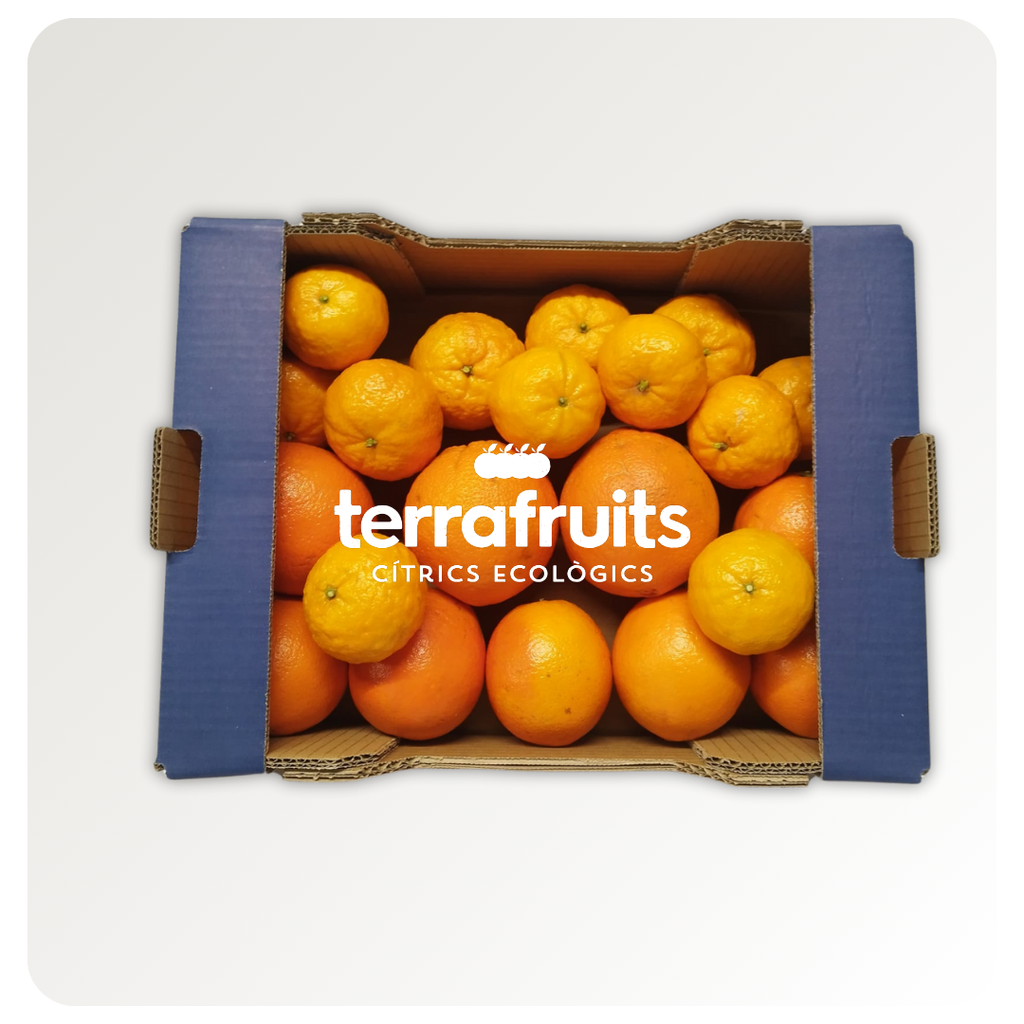 Caja mixta de Gold Nugget BIO y Naranjas para zumo BIO