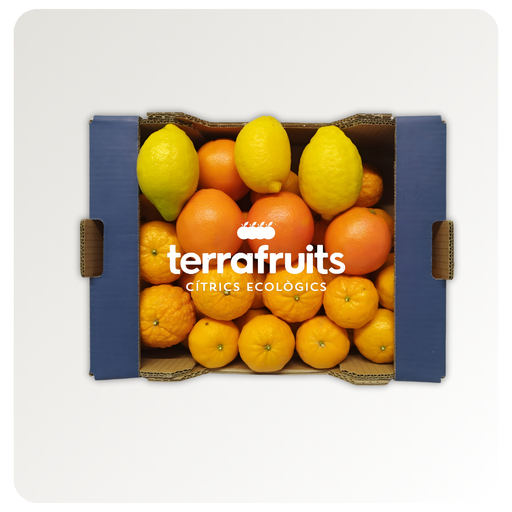 BIO Mixed Box: Gold Nugget, Table Oranges & Lemons