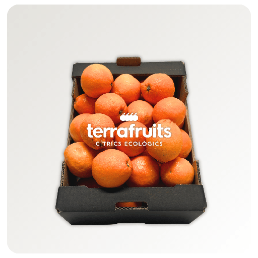 Caja de naranjas BIO para zumo: navelinas, Lane-late y Chislett