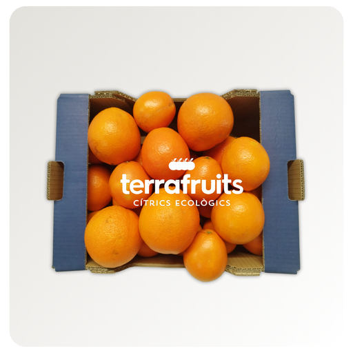 Caja mixta BIO Naranjas de mesa y Naranjas de zumo